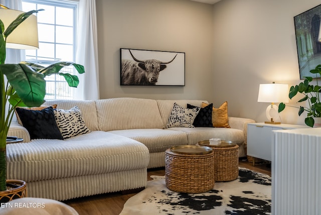 living room featuring wood finished floors