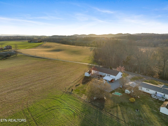 350 Davy Crockett Rd, Limestone, TN 37681 - photo 6