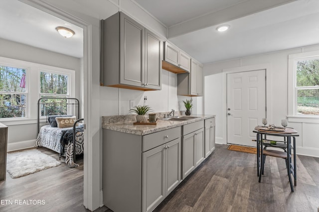 kitchen featuring dark wood finished floors, gray cabinets, and a sink