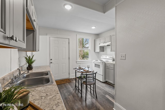 kitchen featuring a sink, under cabinet range hood, light countertops, electric range, and dark wood-style flooring