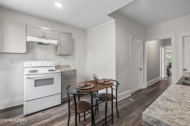 kitchen featuring under cabinet range hood, dark wood finished floors, gray cabinets, and electric stove