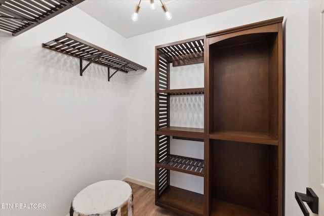 walk in closet featuring wood finished floors