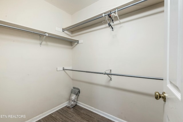 walk in closet with dark wood-type flooring