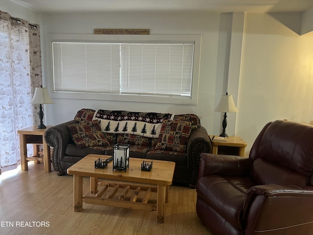 living room with light wood-style floors