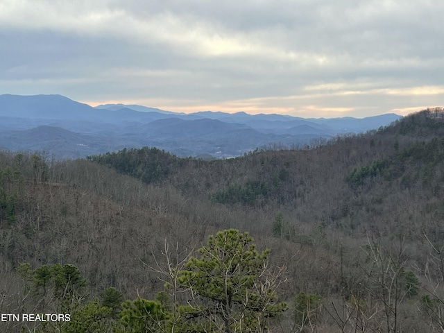 mountain view with a forest view