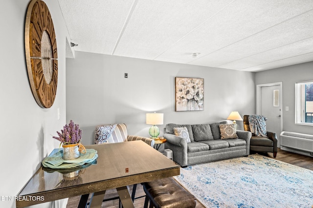 living room with a textured ceiling and wood finished floors