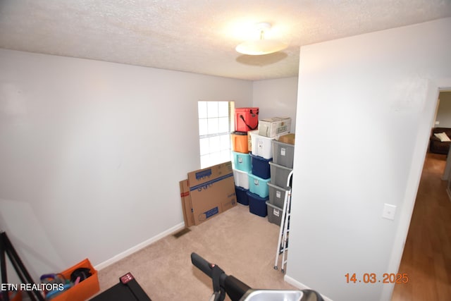 workout area with baseboards, a textured ceiling, and carpet flooring