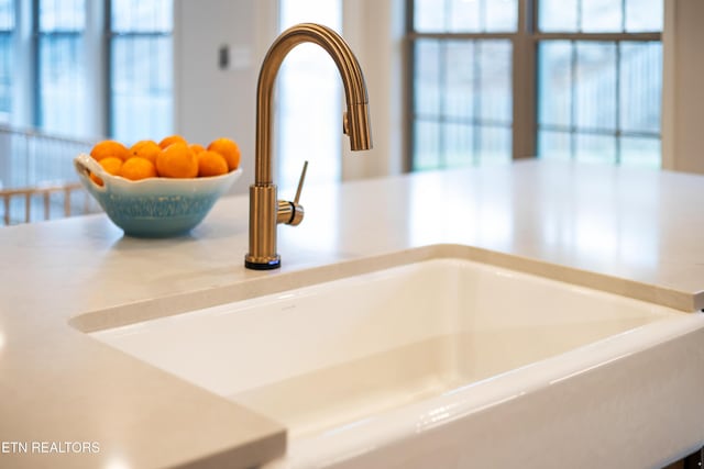 interior details with a sink