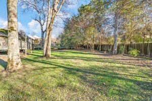 8836 Nubbin Ridge Rd, Knoxville, TN 37923 - view of yard