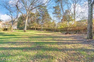8836 Nubbin Ridge Rd, Knoxville, TN 37923 - view of yard