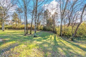 8836 Nubbin Ridge Rd, Knoxville, TN 37923 - view of yard