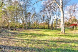 8836 Nubbin Ridge Rd, Knoxville, TN 37923 - view of yard