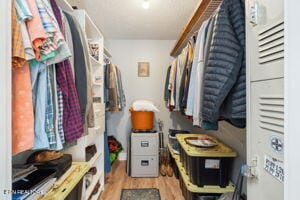 8836 Nubbin Ridge Rd, Knoxville, TN 37923 - walk in closet with light wood finished floors