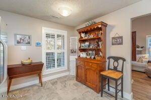 8836 Nubbin Ridge Rd, Knoxville, TN 37923 - interior space with light wood-style floors and baseboards