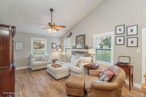 8836 Nubbin Ridge Rd, Knoxville, TN 37923 - living area with high vaulted ceiling, baseboards, wood finished floors, and ceiling fan