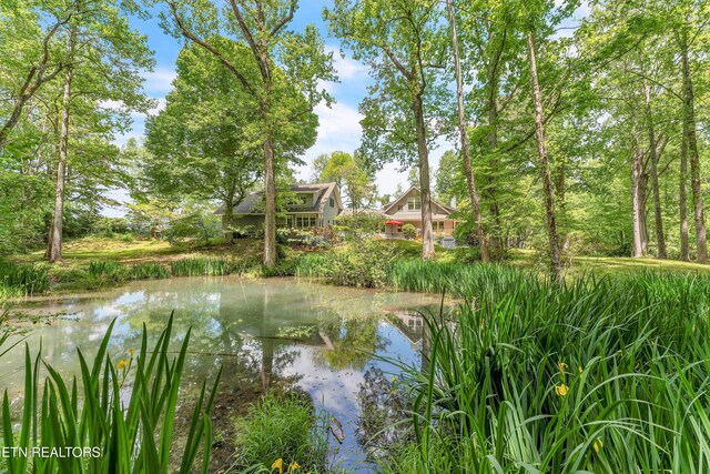1025 Lowe Rd, Cohutta, GA 30710 - water view