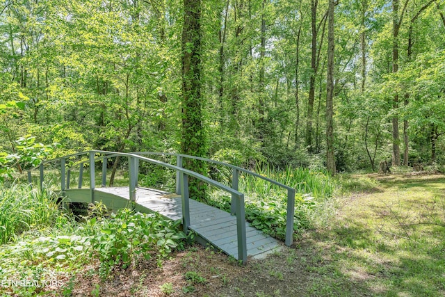 1025 Lowe Rd, Cohutta, GA 30710 - gate with a view of trees