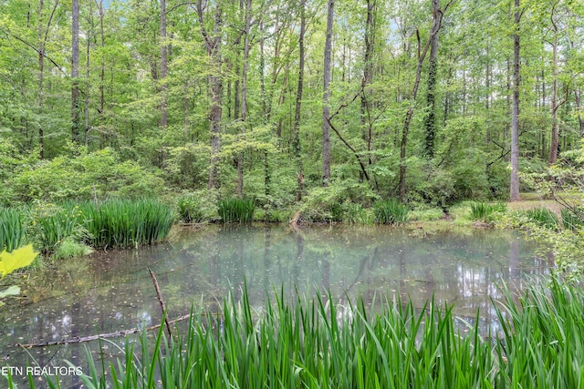 1025 Lowe Rd, Cohutta, GA 30710 - water view featuring a forest