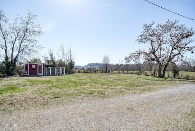 view of yard featuring driveway and an outdoor structure