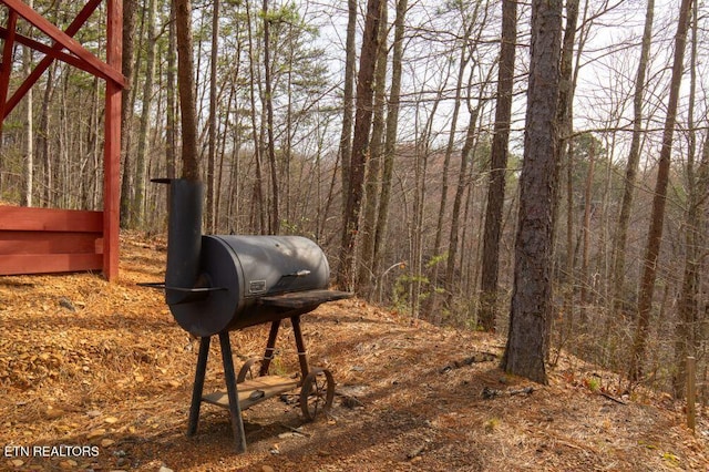 details with a wooded view