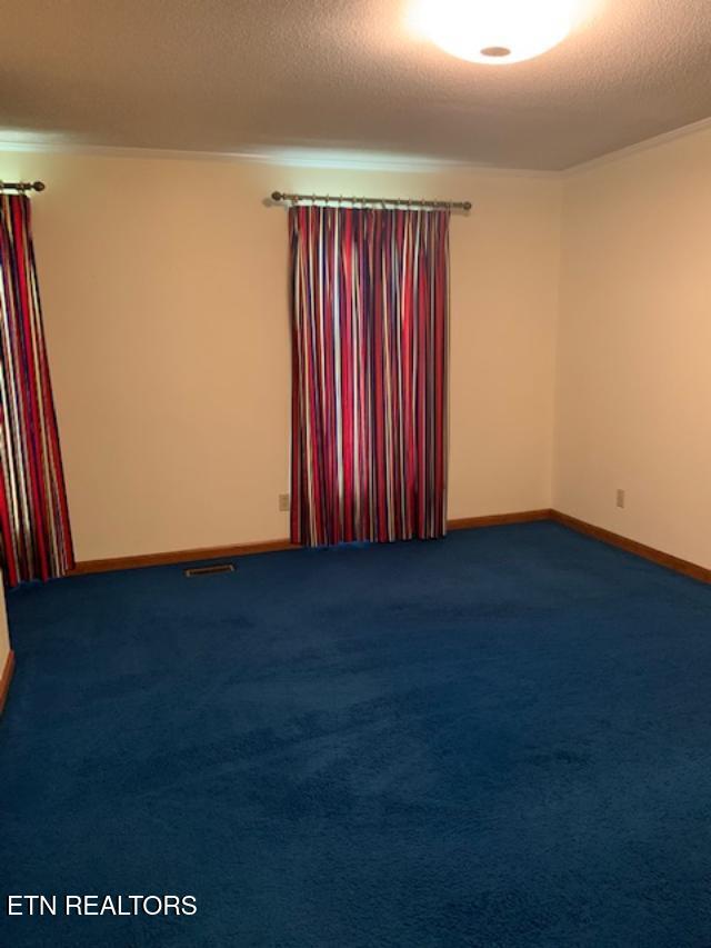 spare room with visible vents, baseboards, ornamental molding, carpet flooring, and a textured ceiling