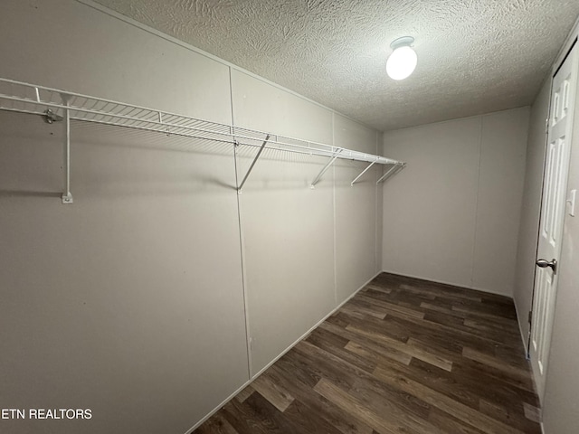 spacious closet with wood finished floors