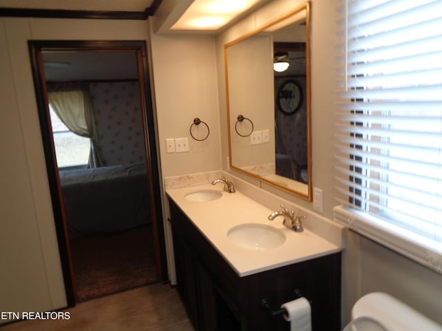 bathroom with double vanity, plenty of natural light, ensuite bathroom, and a sink