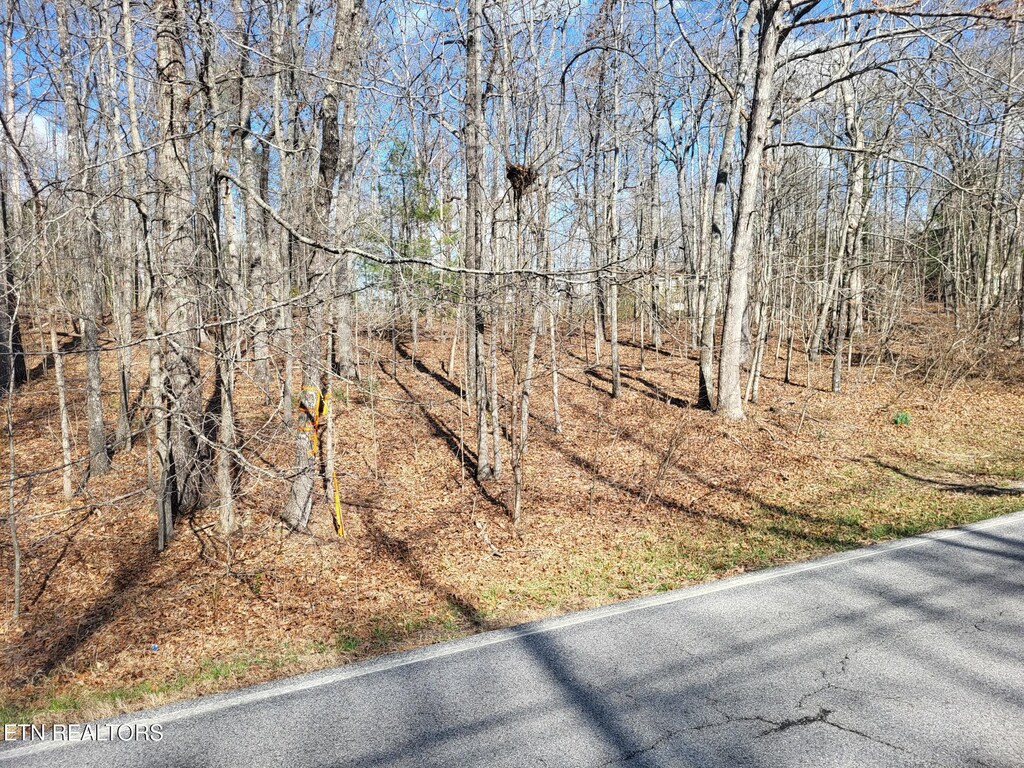 219 Saint George Dr, Crossville, TN 38558 - photo 2
