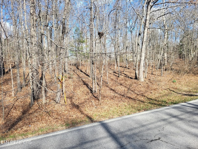 219 Saint George Dr, Crossville, TN 38558 - photo 2