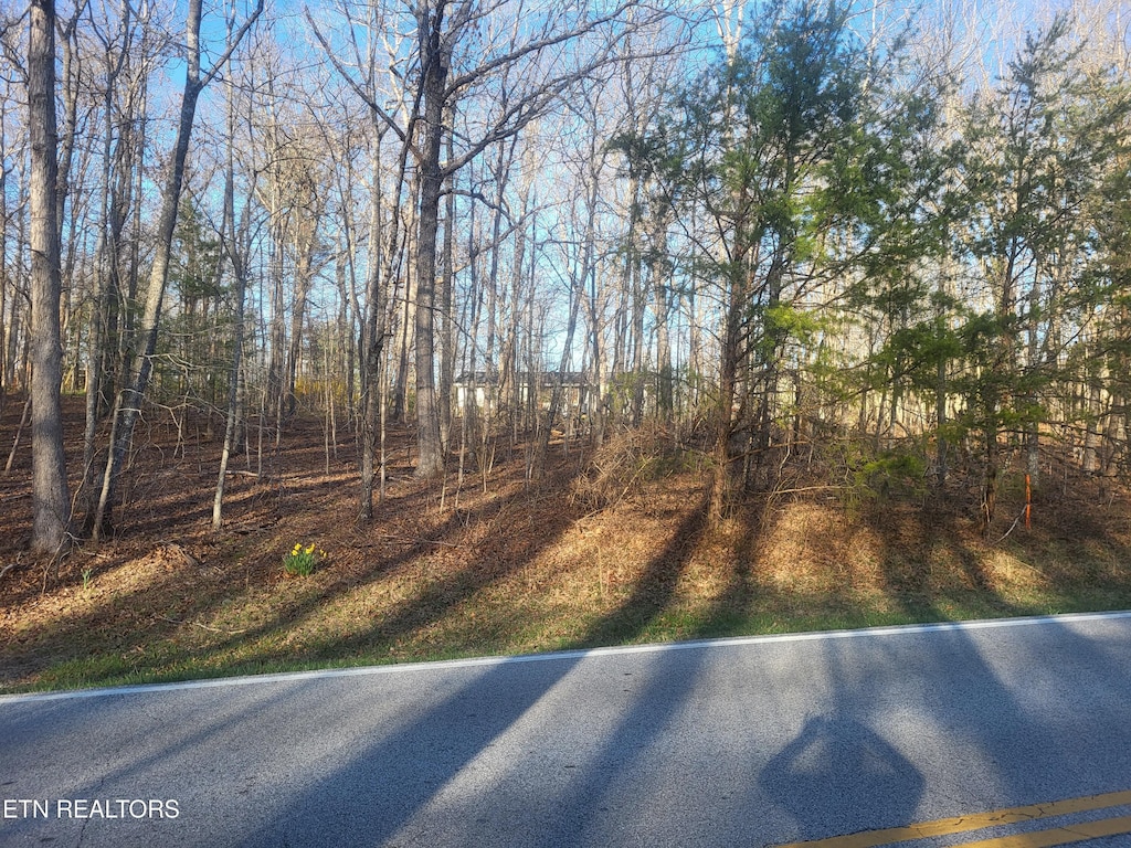 219 Saint George Dr, Crossville, TN 38558 - photo 1
