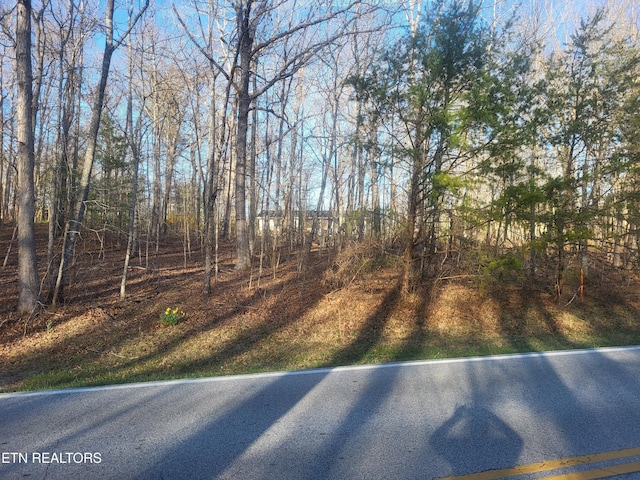 219 Saint George Dr, Crossville, TN 38558 - photo 1