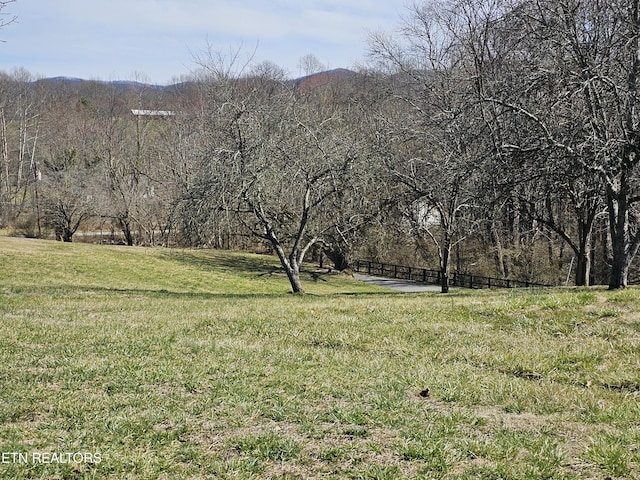 view of yard with a forest view