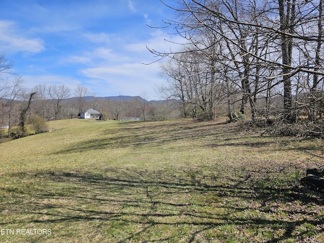 view of yard featuring a rural view