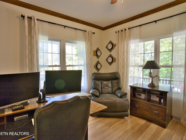 office area with a healthy amount of sunlight, light wood-type flooring, crown molding, and ceiling fan