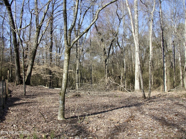 view of nature featuring a wooded view