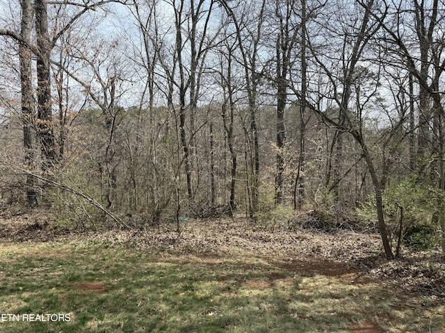 view of local wilderness with a wooded view