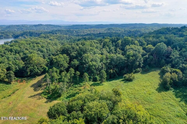 3696 Crown Point Rd, Louisville TN, 37777 land for sale