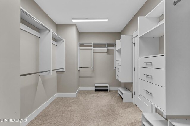 spacious closet featuring light colored carpet