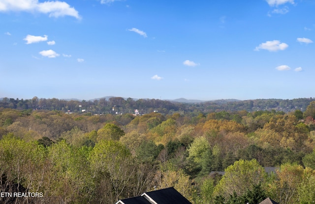 5633 Eagle Crest Ln, Knoxville, TN 37921 - view of mountain feature featuring a wooded view
