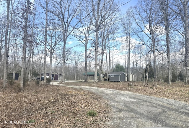 view of road with driveway