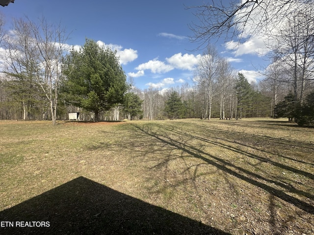 view of yard with a wooded view