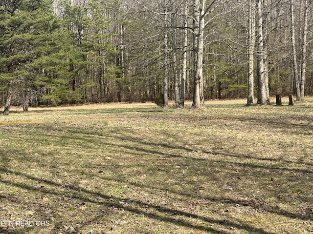 view of yard with a view of trees