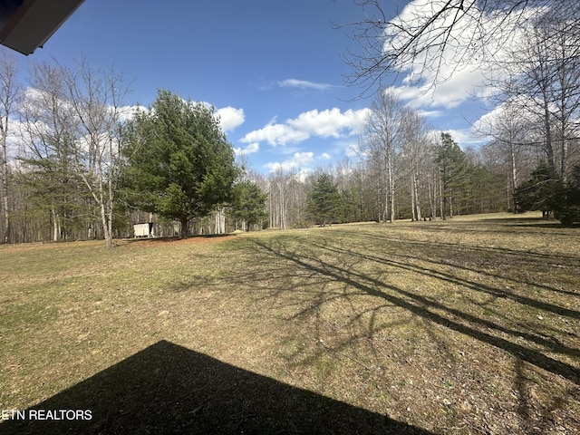 view of yard featuring a view of trees