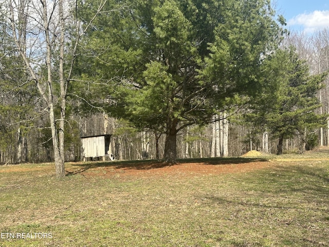 view of yard featuring an outdoor structure