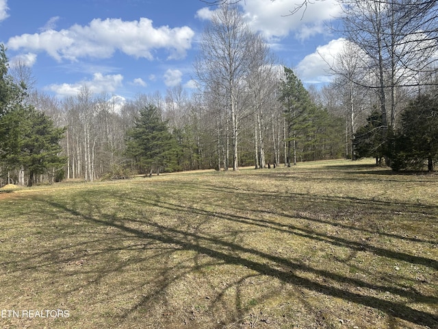 view of yard featuring a view of trees