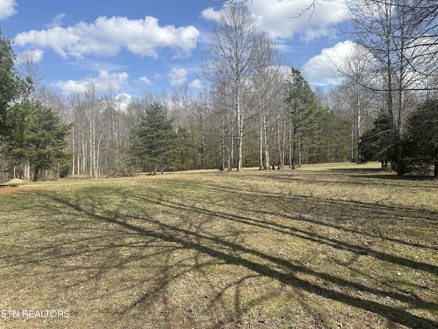 view of yard with a forest view