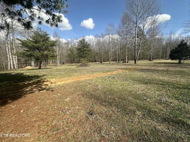 view of yard with a wooded view