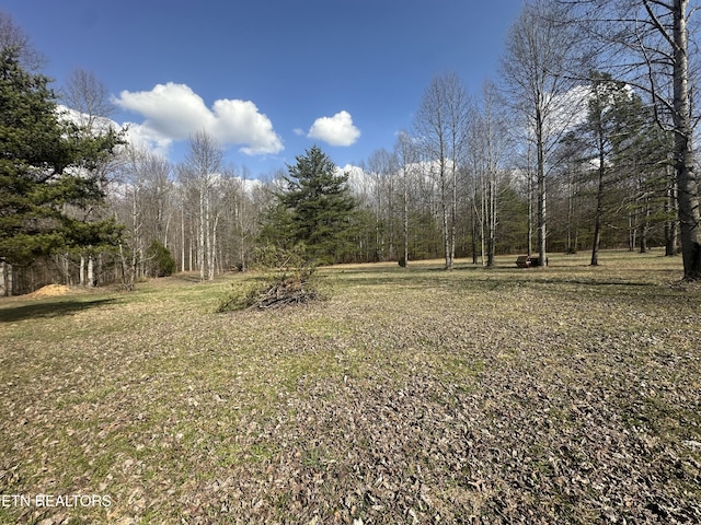 view of yard featuring a forest view