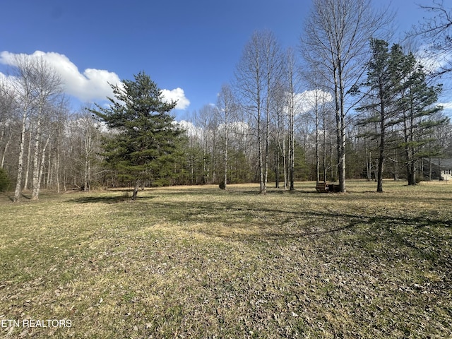 view of yard with a forest view