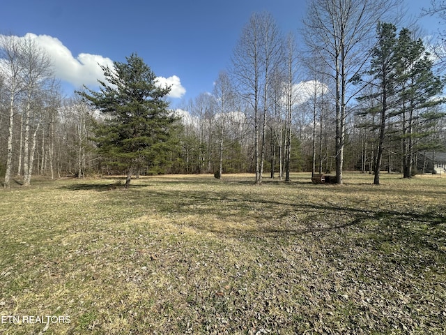 view of yard featuring a wooded view